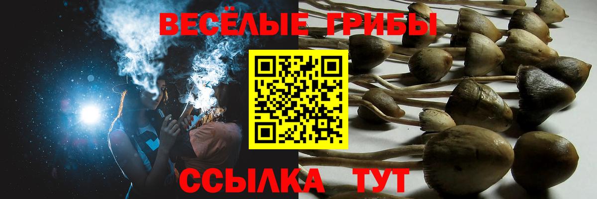 Великие Луки  Галлюциногенные грибы ЛСД  Вход с VPN 